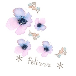 ＊  Felizzz  ＊