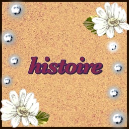 histoire
