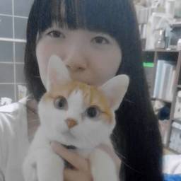 黒猫