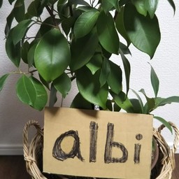 albi