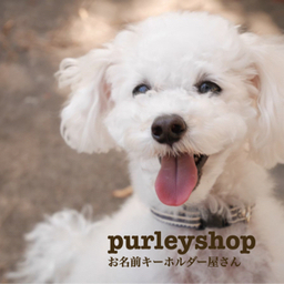 purleyshop