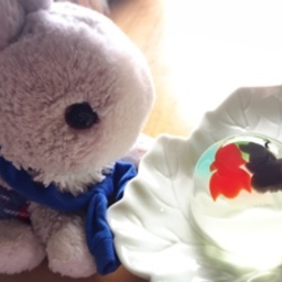 灰色うさぎ