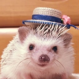 はりいぬ