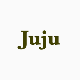 juju accessories