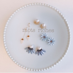 Mots riches
