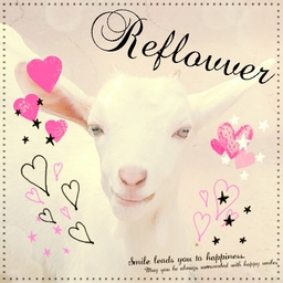 reflovver