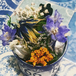ERI’s DRYFLOWER 