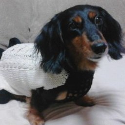 c-knit