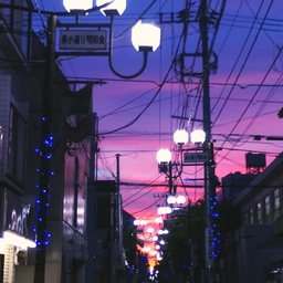 醒