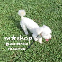 M☆SHOP 