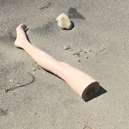 こけ