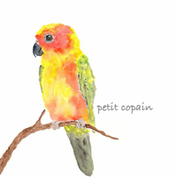 petit copain  
