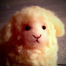 amu_tomo