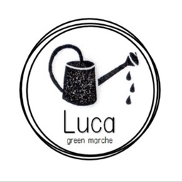 green-m-luca