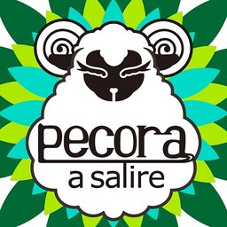 pecora a salire