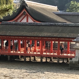 もん吉