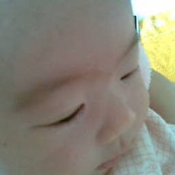 manpucupanda