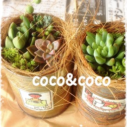 coco&coco