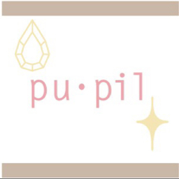 pu・pil