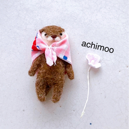 achimoo