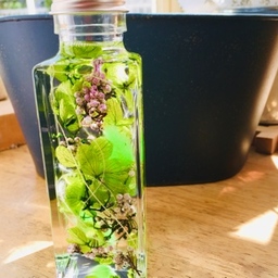 e-bloom