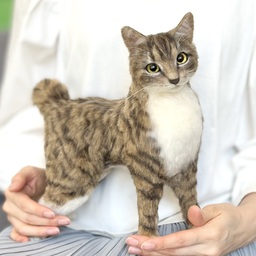 ふぇるぽっと（みい）