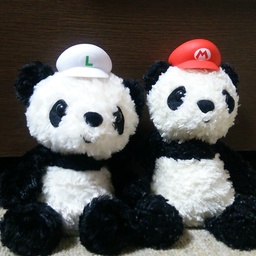 nao-panda