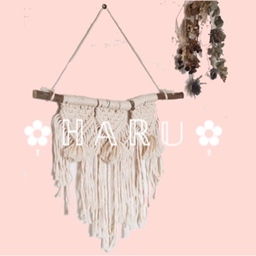✿᷂ ℍ 𝔸 ℝ 𝕌 ✿᷂