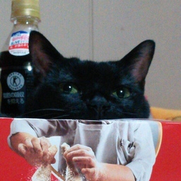 軟骨