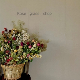 Rose　grass