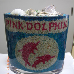 pink-dolphin