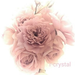 r-crystal