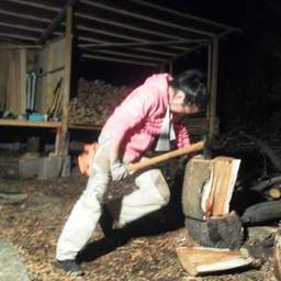 atelier Dopalfin