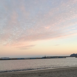 amabile-jun