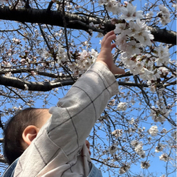 線画イラストやさん