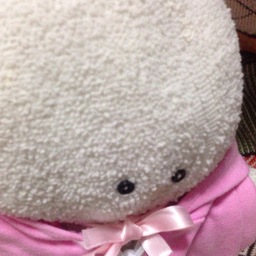 うさこのおうち