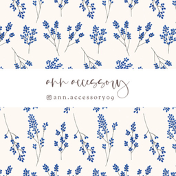 ann.accessoy