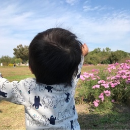 nohohon0121