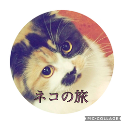 ネコの旅