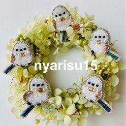 nyarisu15