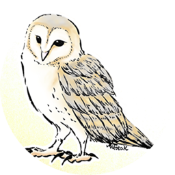 鶴山みこと