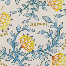 sora2koi