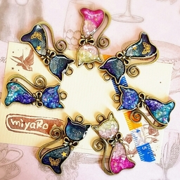 miyaRo