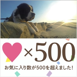 もくやん