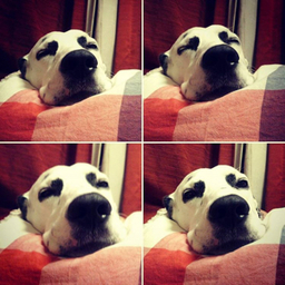 chica ∞ k