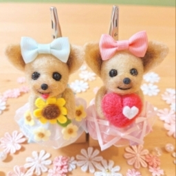 🌻ひまわり🌻