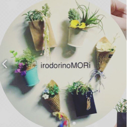 irodorinoMORi