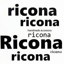 ricona  accessory