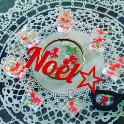 Noel☆