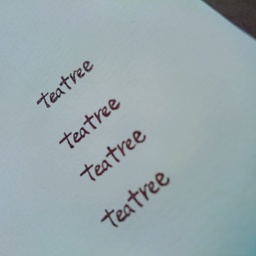 teatree25